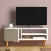 Modern Wooden TV Table with Door and Two Shelves
