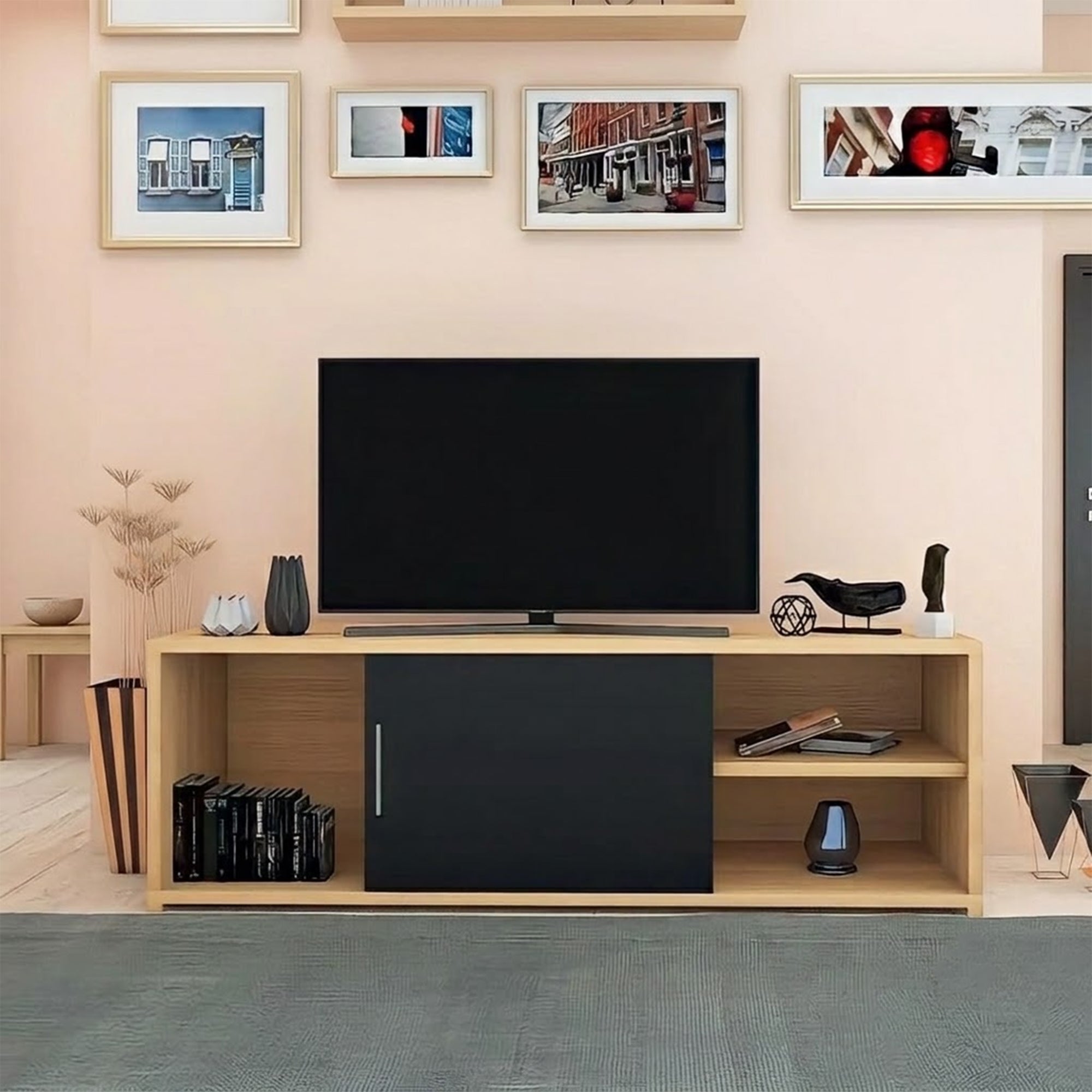 Modern Wooden TV Table with Door